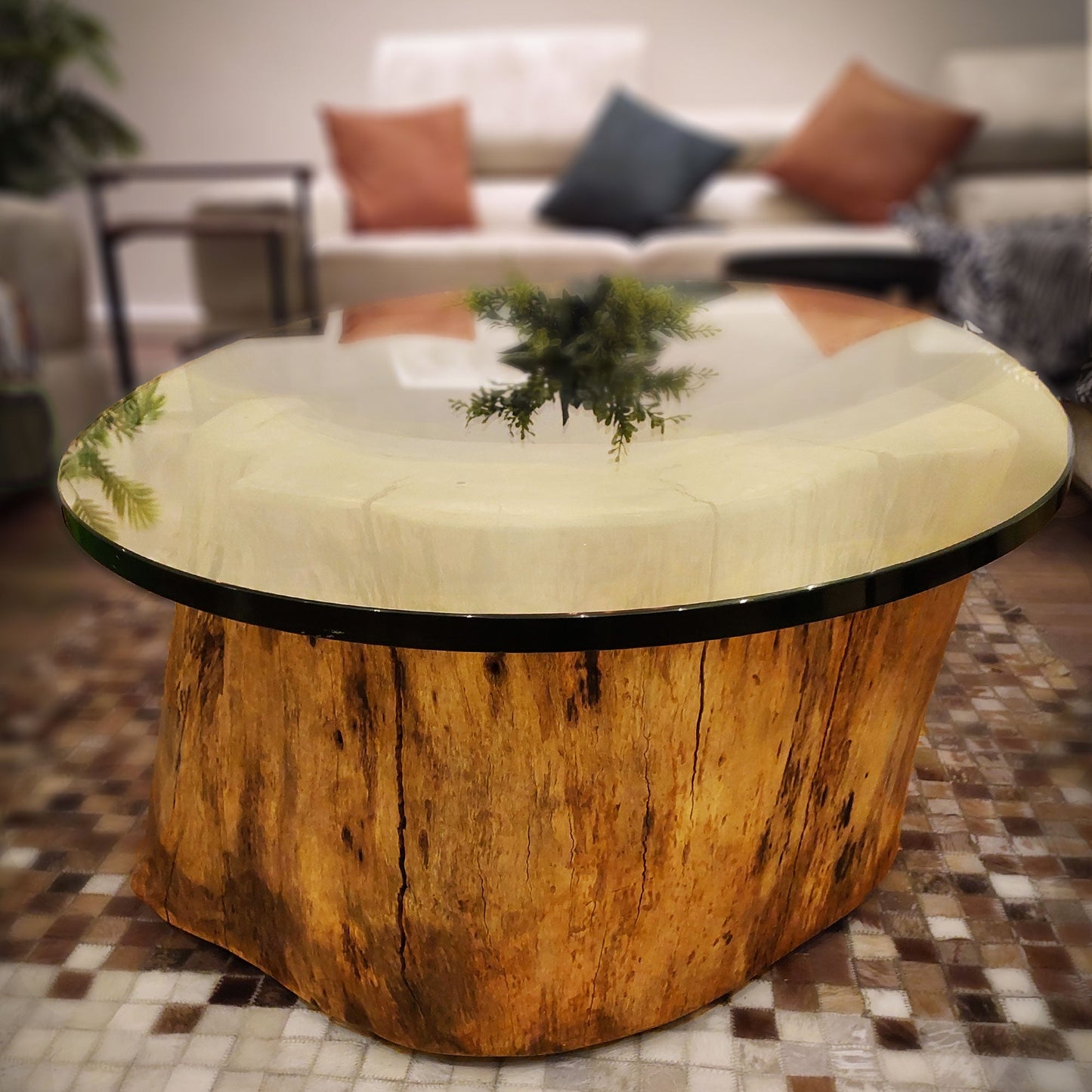 Mango Coffee Table