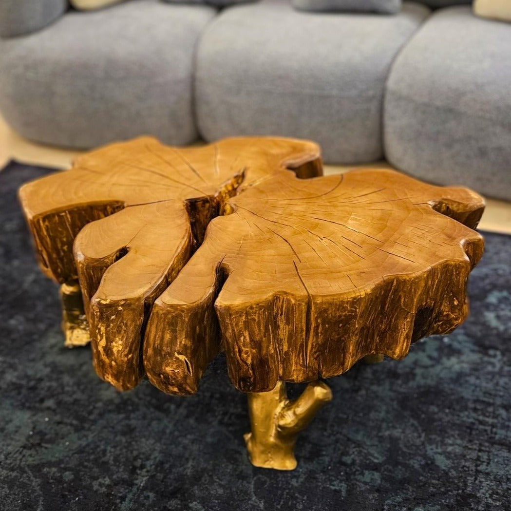 Tree Trunk Coffee Table