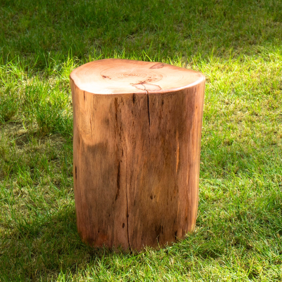 Sturdy End Table